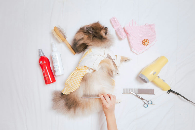 Pet Products