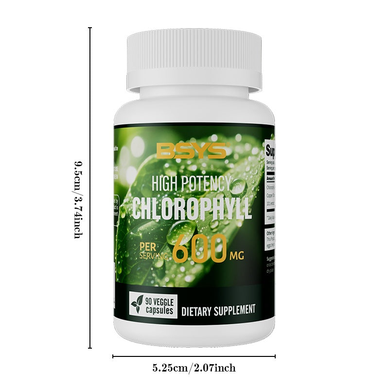BSYS Chlorophyll Capsules  Fat Metabolism Support Aid Blood Purification & Detox Boost  Digestive Health & Constipation Relief Helper  Immune System Enhancement  Daily Detox & Wellness Supplemen