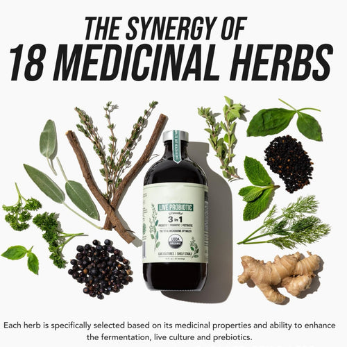 Active Probiotics Supplement