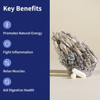 BSYS Magnesium Supplements Sleep & Anxiety Relief Aid  Muscle Relaxation Support  Heart Health & Blood Sugar Balance Formula  Cognitive Function Enhancement  Nighttime Wellness Supplement